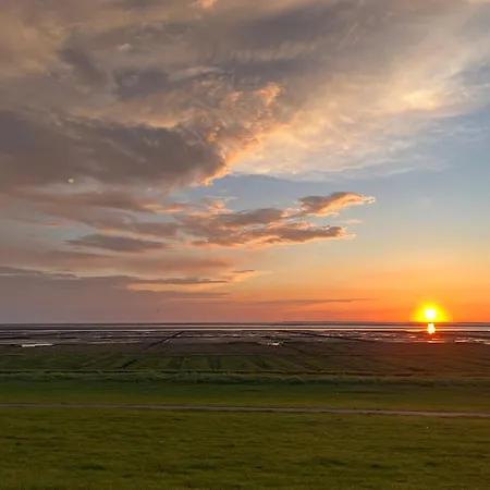 Frida Am Deich * Wesselburenerkoog