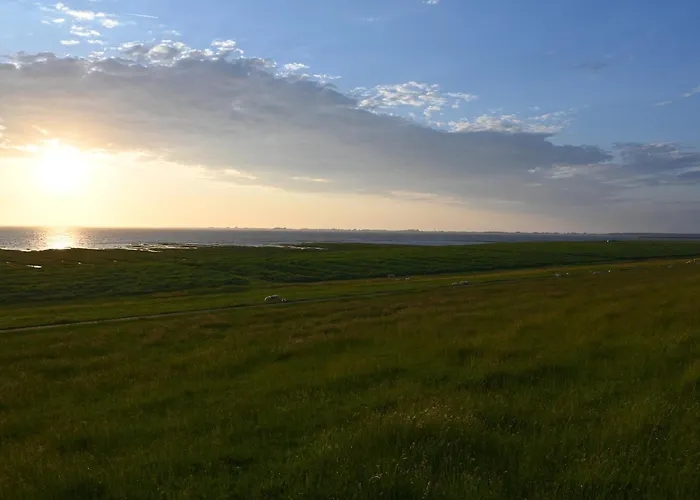 Frida Am Deich Vakantiehuis *